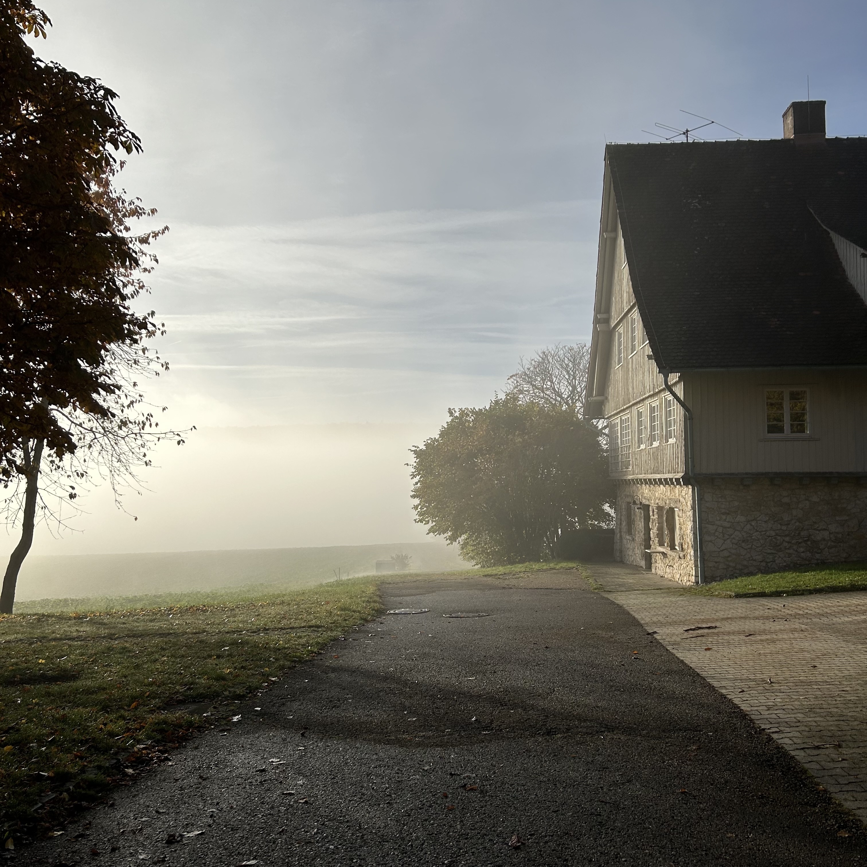 23-11-01 08-39-25 7431.jpg